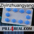 Ziyinzhuangyang 21